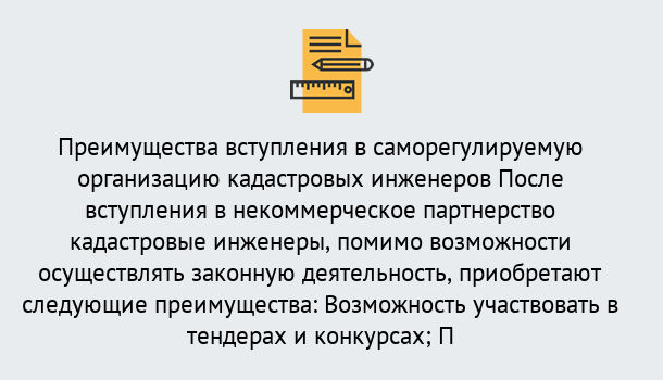 Почему нужно обратиться к нам? Наро-Фоминск Что дает допуск СРО кадастровых инженеров?