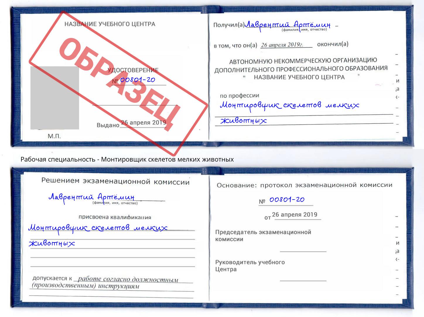Монтировщик скелетов мелких животных Наро-Фоминск