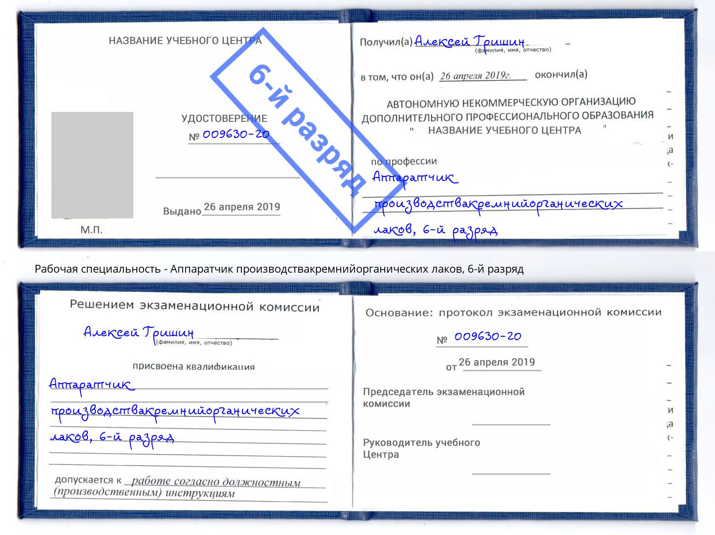 корочка 6-й разряд Аппаратчик производствакремнийорганических лаков Наро-Фоминск