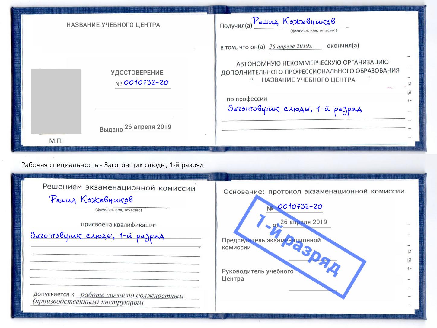 корочка 1-й разряд Заготовщик слюды Наро-Фоминск